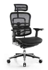 ERGO HUMAN